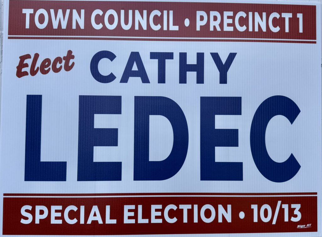 Election Yard Sign for Cathy Ledec